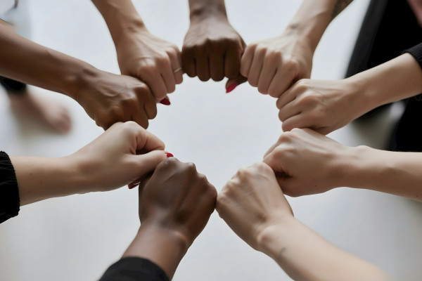 organisationsgrad fackforbund